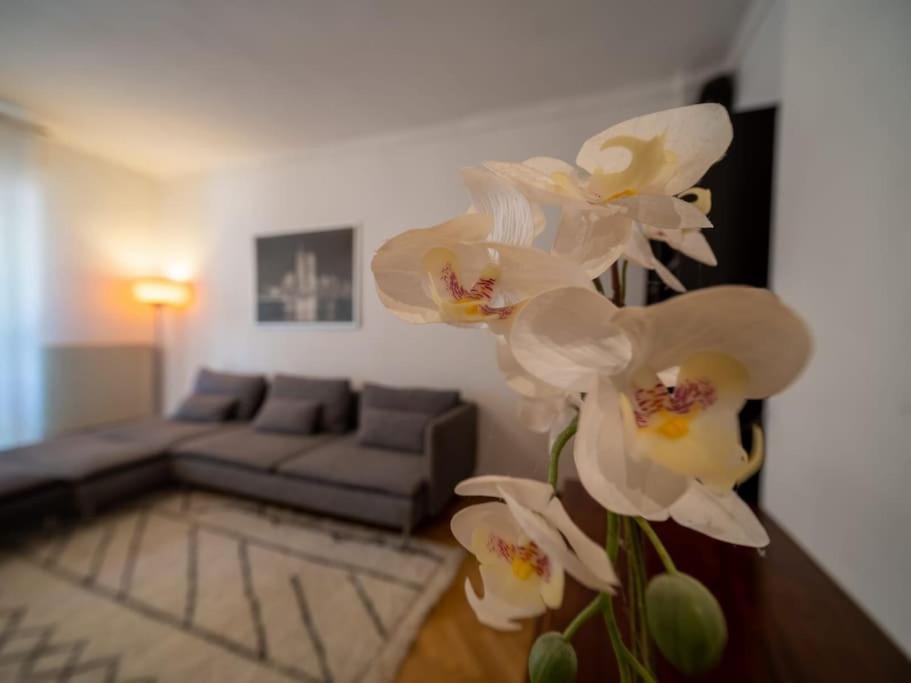 Appartement Climatise Tout Equipe A Cote Du Stade Velodrome Marsiglia Esterno foto